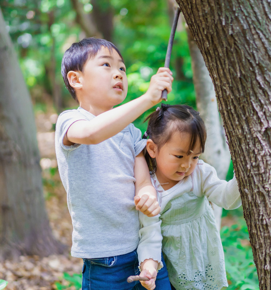Free Ontario Parks Pass & Halton Conservation Pass
