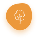Forest & Nature PA Day Program